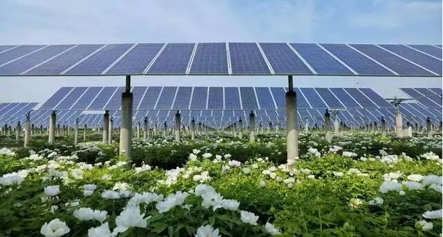 工信部等三部门“出手”约谈硅料企业 光伏产业将迎新变局？